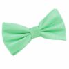 Mint Green Solid Check Pre-Tied Bow Tie