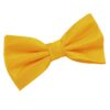 Sunflower Gold Solid Check Pre-Tied Bow Tie