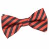 Black and Red Thin Stripe Pre-Tied Bow Tie
