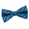 Navy Blue and Teal Thin Stripe Pre-Tied Bow Tie