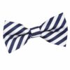 White and Navy Blue Thin Stripe Pre-Tied Bow Tie