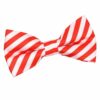 White and Red Thin Stripe Pre-Tied Bow Tie