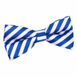 White and Royal Blue Thin Stripe Pre-Tied Bow Tie White and Royal Blue Thin Stripe Pre-Tied Bow Tie