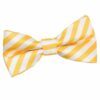 White and Yellow Thin Stripe Pre-Tied Bow Tie