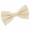 Beige Plain Shantung Pre-Tied Bow Tie