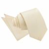 Beige Plain Shantung Slim Tie and Pocket Square Set