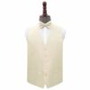 Beige Plain Shantung Wedding Waistcoat and Bow Tie Set