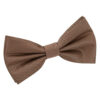 Bronze Plain Shantung Pre-Tied Bow Tie