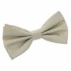 Taupe Plain Shantung Pre-Tied Bow Tie