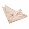 Champagne Solid Check Bow Tie and Pocket Square Set