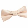 Champagne Solid Check Pre-Tied Bow Tie for Boys
