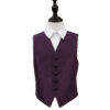 Cadbury Purple Solid Check Wedding Waistcoat for Boys