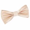 Champagne Solid Check Pre-Tied Bow Tie