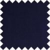 Navy Blue Solid Check Swatch