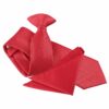 Red Solid Check Clip On Slim Tie and Pocket Square Set