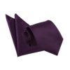 Cadbury Purple Solid Check Tie and Pocket Square Set