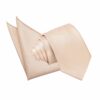 Champagne Solid Check Tie and Pocket Square Set