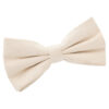 Beige Suede Pre-Tied Bow Tie