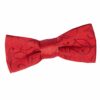 Black Swirl Pre-Tied Bow Tie for Boys