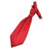 Burgundy Swirl Pre-Tied Wedding Cravat for Boys