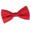 Black Swirl Pre-Tied Bow Tie for Boys