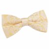 Black Swirl Pre-Tied Bow Tie for Boys