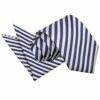 White and Navy Blue Thin Stripe Tie and Pocket Square Set