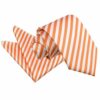 White and Orange Thin Stripe Tie and Pocket Square Set